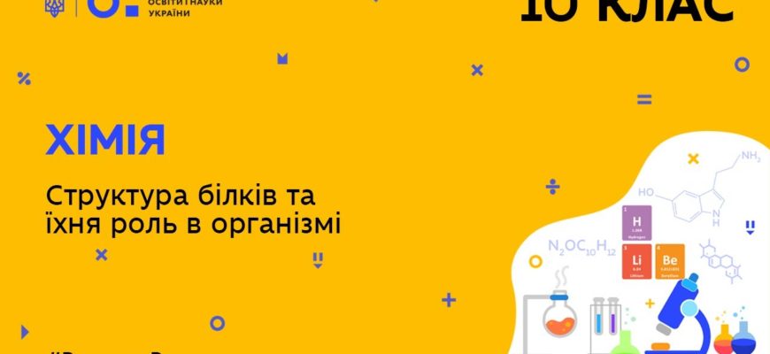 Структура білків та їхня роль в організмі