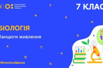 Біологія. Ланцюги живлення